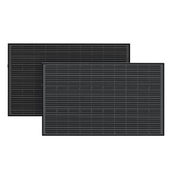 EcoFlow 2*100 Solar Panel (EFSolar2*100W)