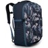 Рюкзак Osprey Daylite Carry-On Travel Pack 44 palm foliage print O/S (009.3080)