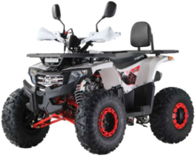 Квадроцикл Forte ATV125F (бело-красный) (124596)