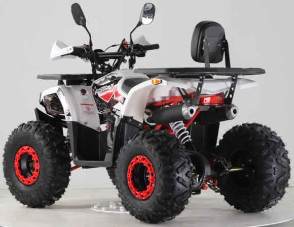 Квадроцикл Forte ATV125F (бело-красный) (124596) изображение 4