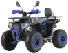 Forte ATV125G