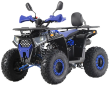 Квадроцикл Forte ATV125G (синий) (124590)