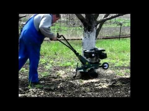 Окучивание деревьев с помощью мотокультиватора
